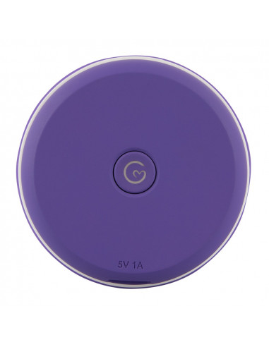 Pouzdro pro skladování a dezinfekci...