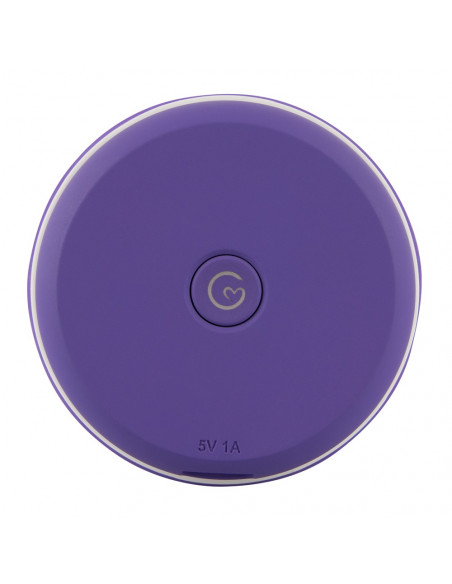 Pouzdro pro skladování a dezinfekci You2Toys Cleaning Box